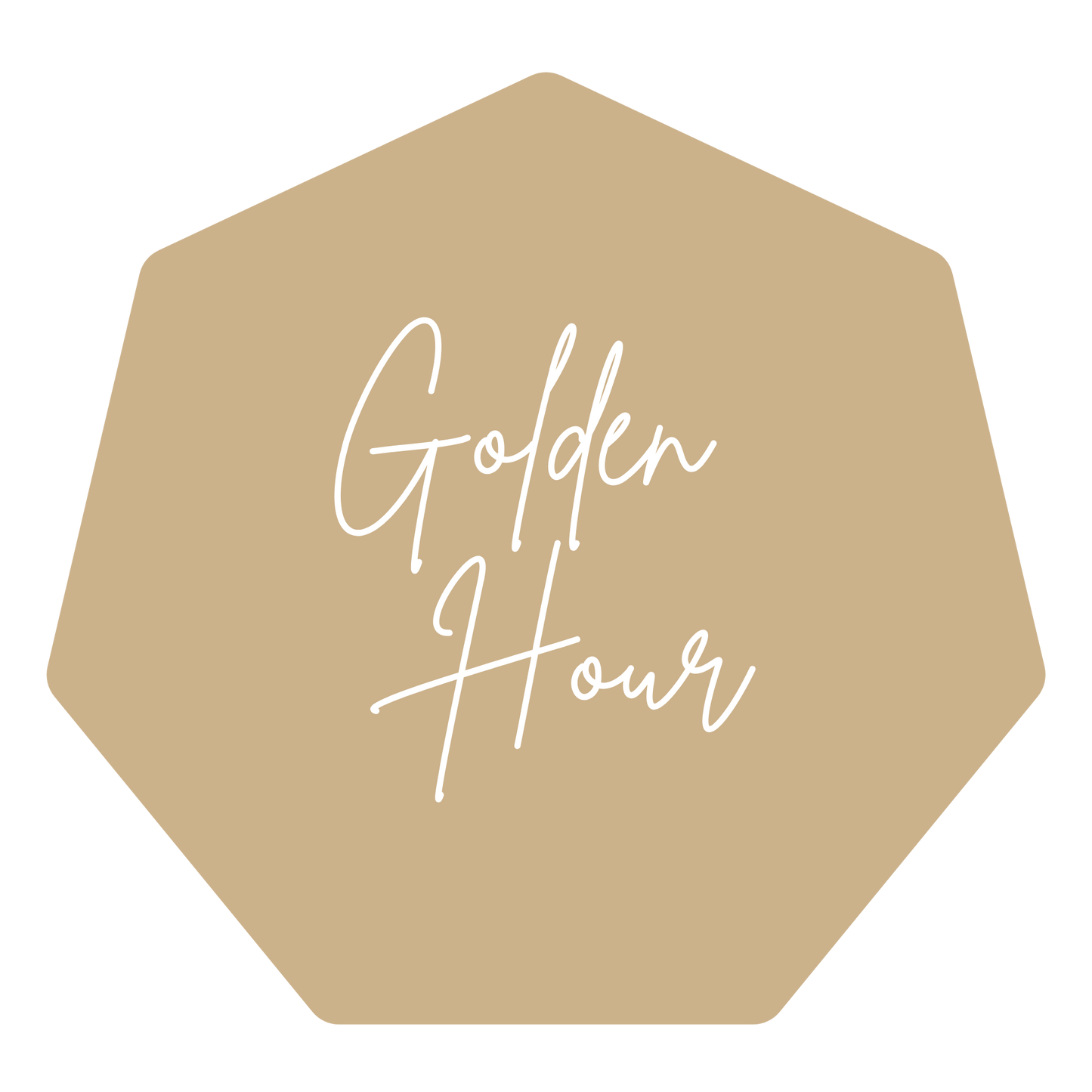 Custom Wedding Planner BINDER ONLY