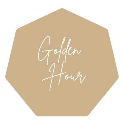 Custom Wedding Planner BINDER ONLY