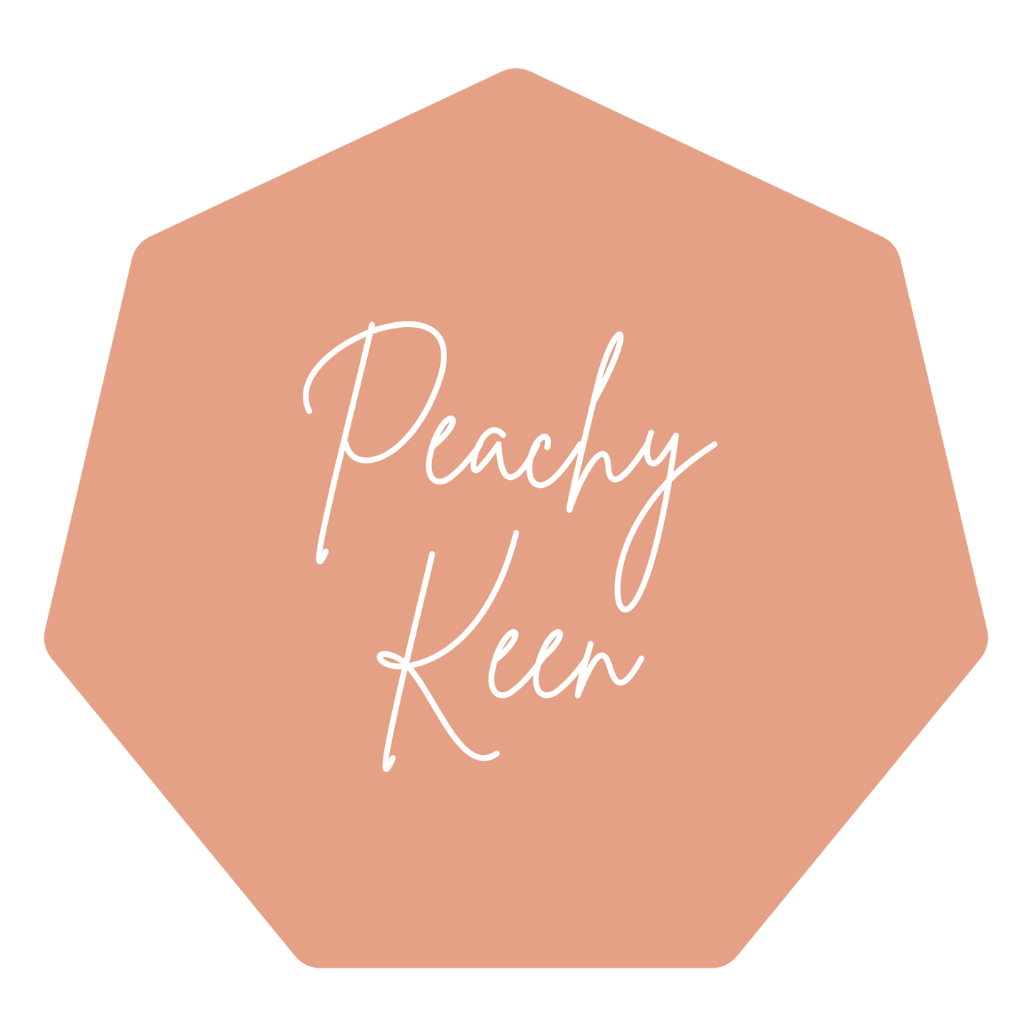 Custom Wedding Planner BINDER ONLY