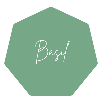 Custom Wedding Planner BINDER ONLY